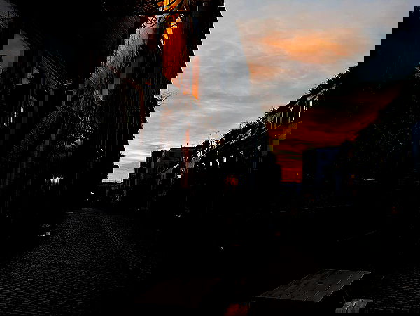 _femalien image ~ Altpins