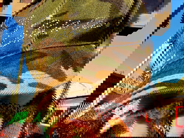 _femalien image ~ Altpins