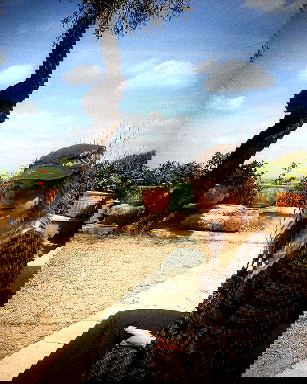 _femalien image ~ Altpins