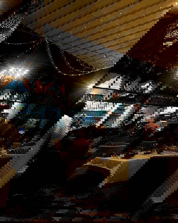 _femalien image ~ Altpins