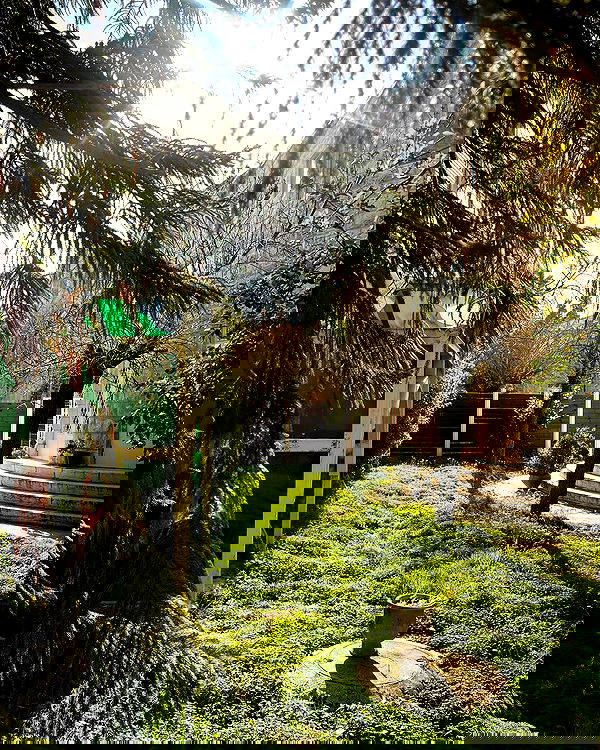 _femalien image ~ Altpins