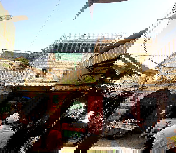 _femalien image ~ Altpins