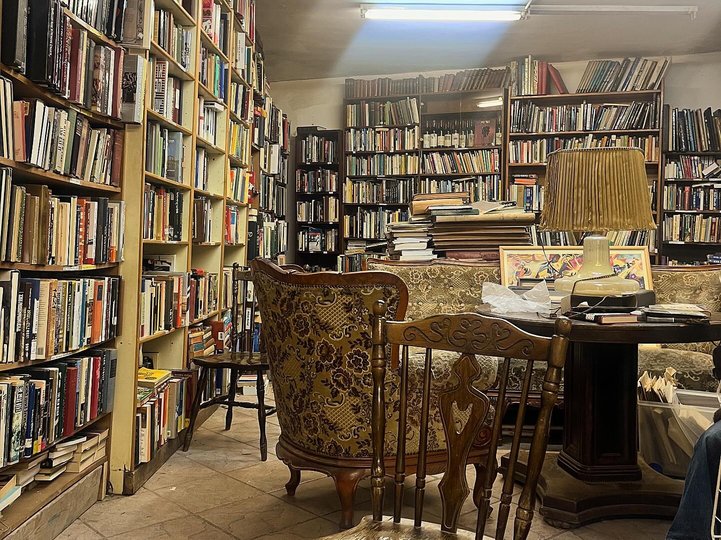 _femalien instagram image archive image