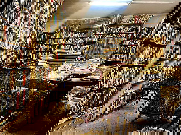 _femalien image ~ Altpins