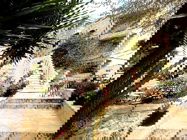 _femalien image ~ Altpins