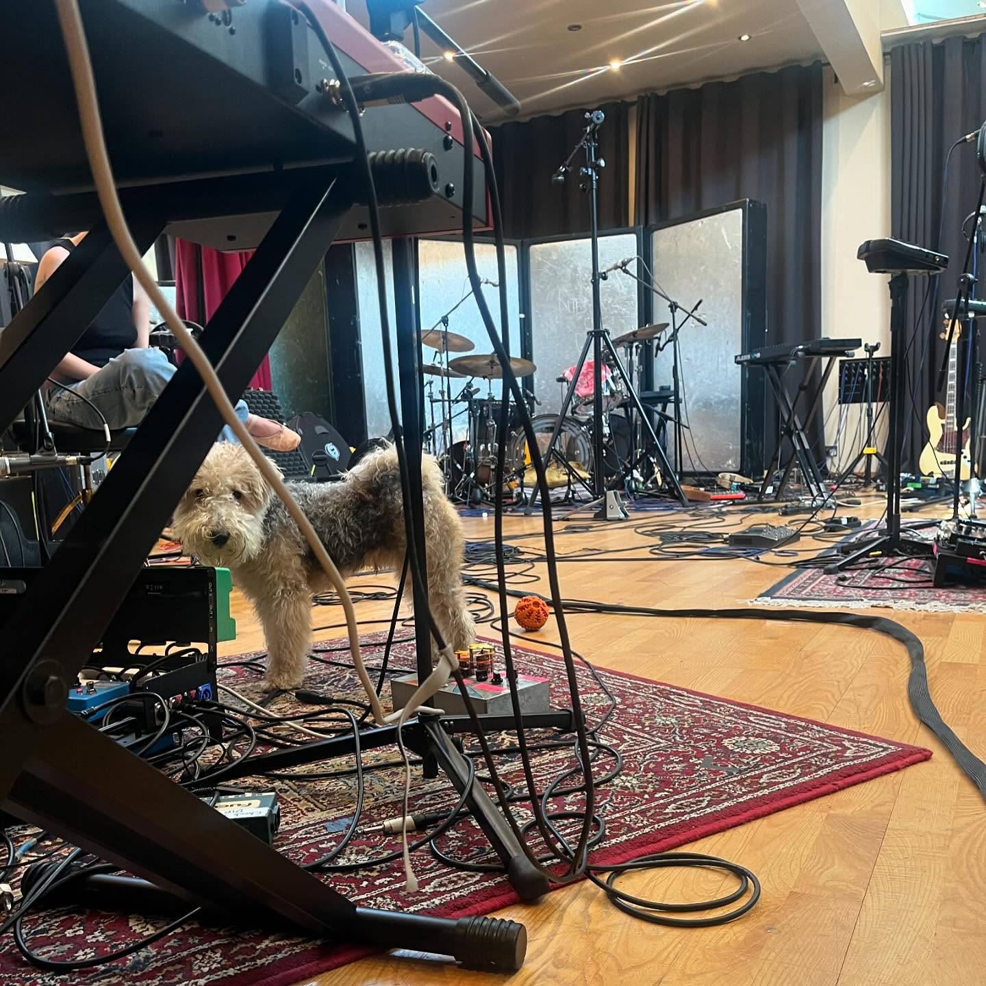 _femalien instagram image archive image