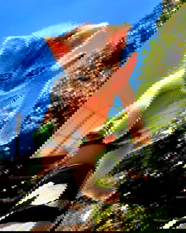 _femalien image ~ Altpins