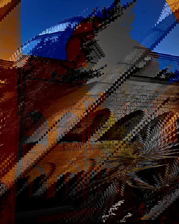 _femalien image ~ Altpins