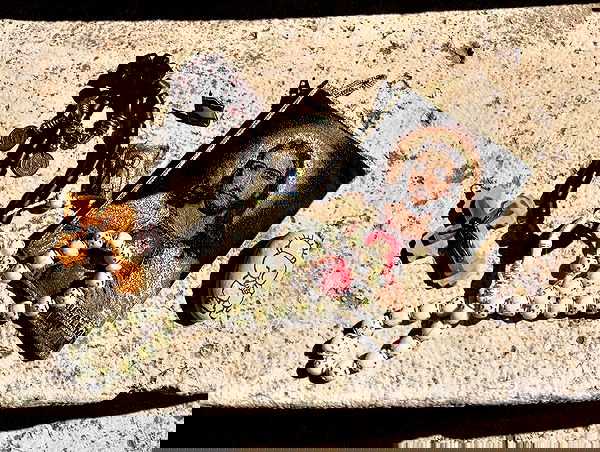 _femalien image ~ Altpins