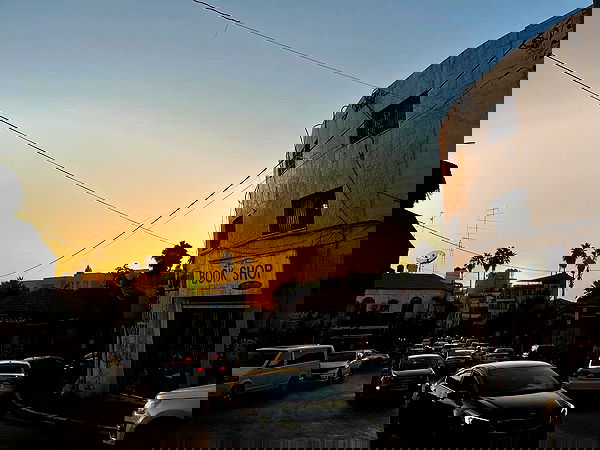 _femalien image ~ Altpins