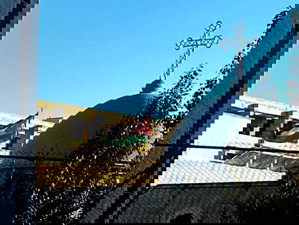 _femalien image ~ Altpins