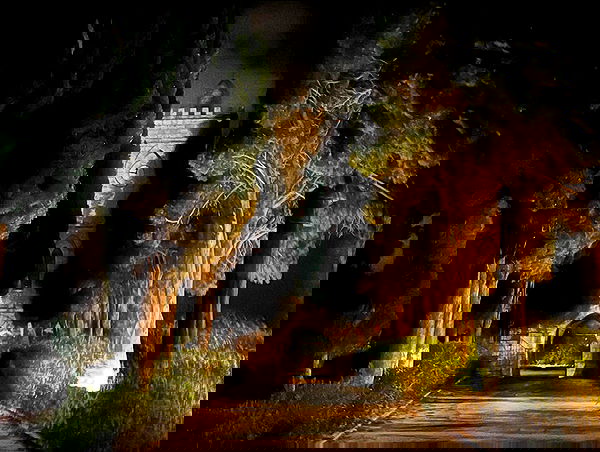 _femalien image ~ Altpins