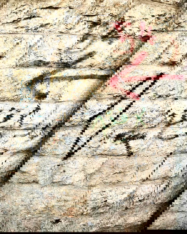 _femalien image ~ Altpins