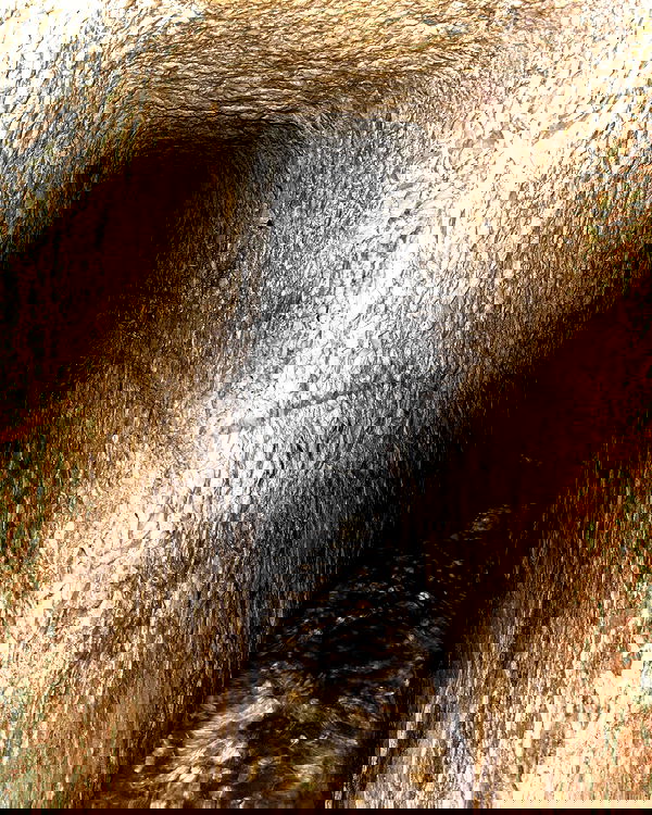 _femalien image ~ Altpins