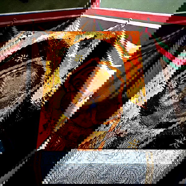 _femalien image ~ Altpins