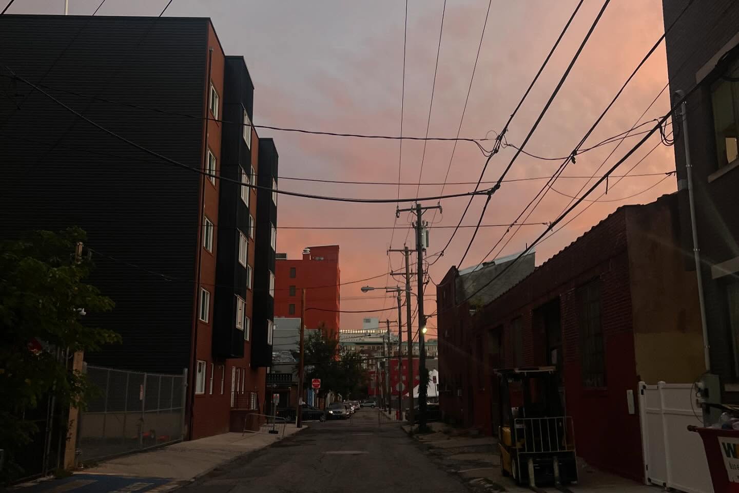 _femalien instagram image archive image