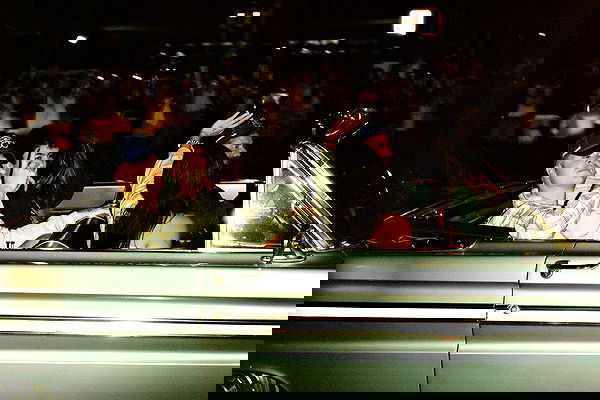 _femalien image ~ Altpins