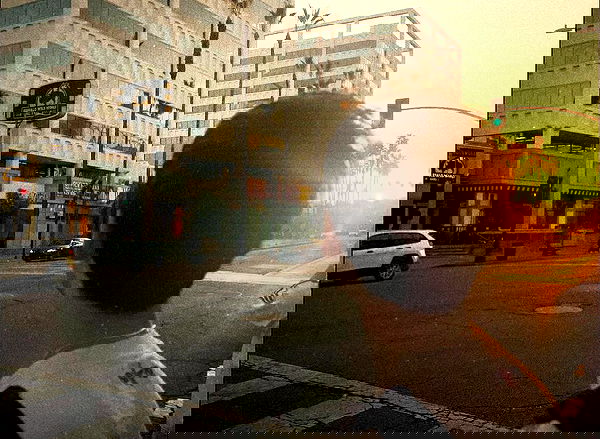 _femalien image ~ Altpins