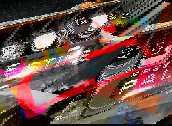 _femalien image ~ Altpins