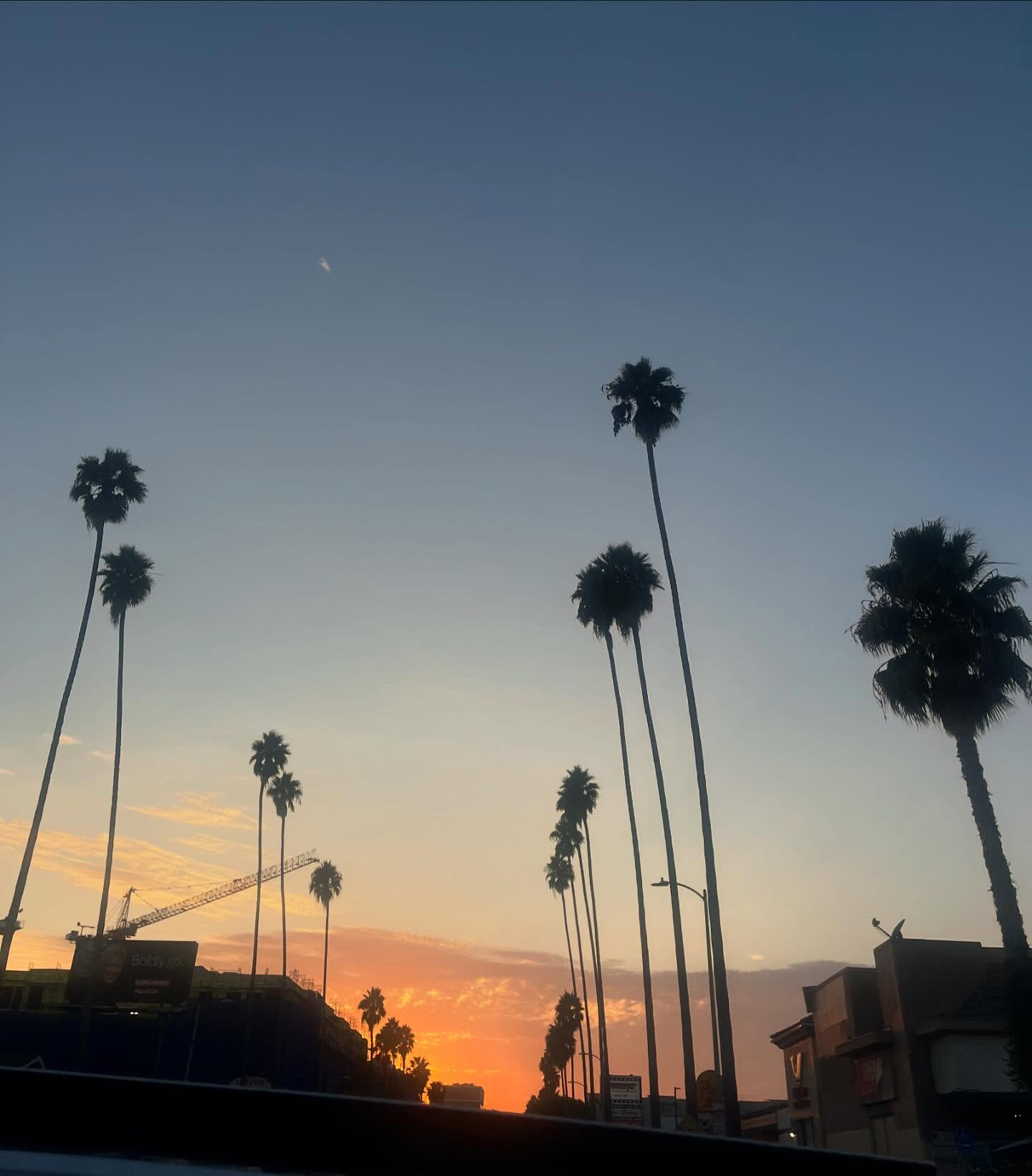 _femalien instagram image archive image