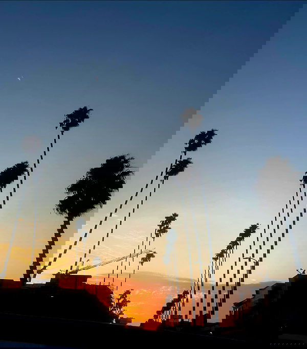 _femalien image ~ Altpins