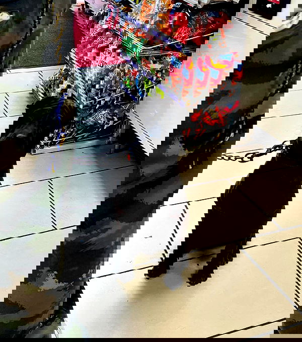 _femalien image ~ Altpins