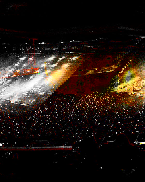 _femalien image ~ Altpins