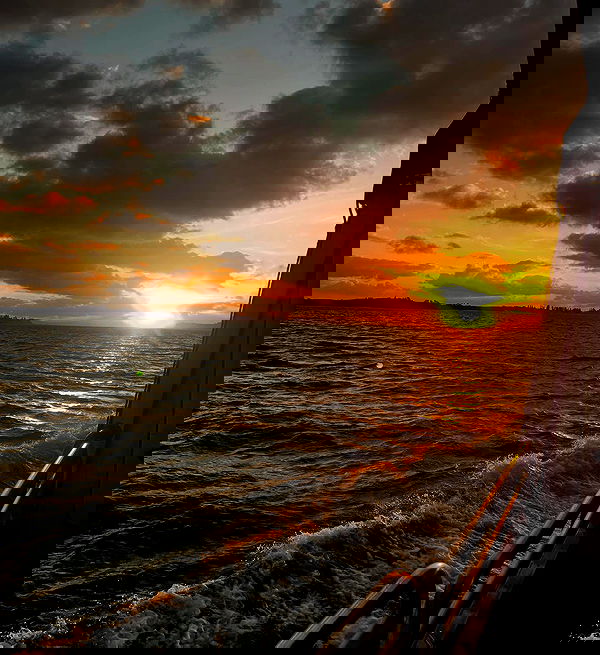 _femalien image ~ Altpins