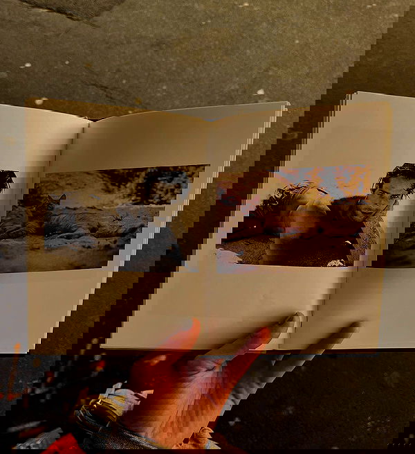 _femalien image ~ Altpins