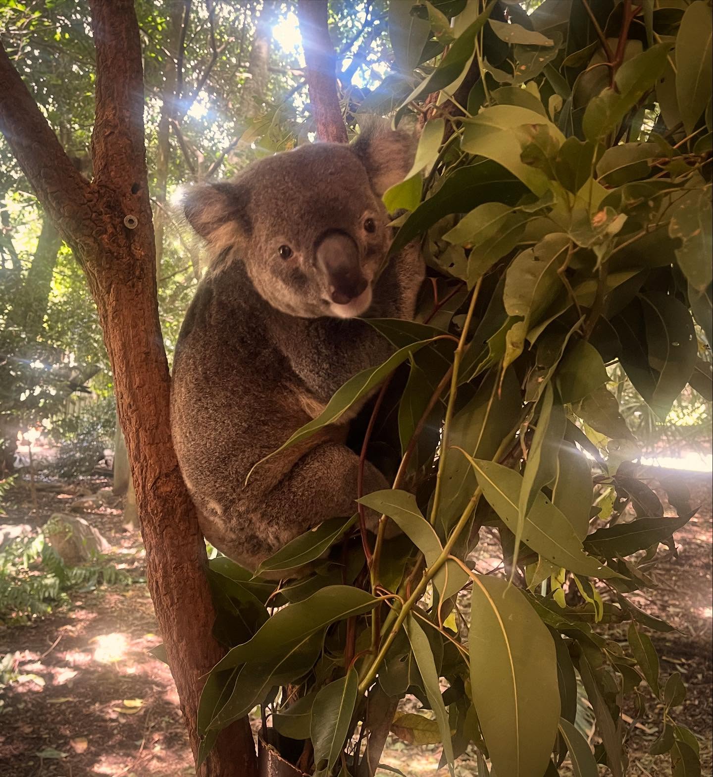 _femalien instagram image archive image