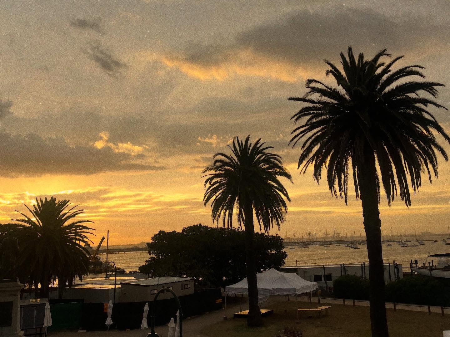 _femalien instagram image archive image