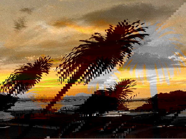 _femalien image ~ Altpins