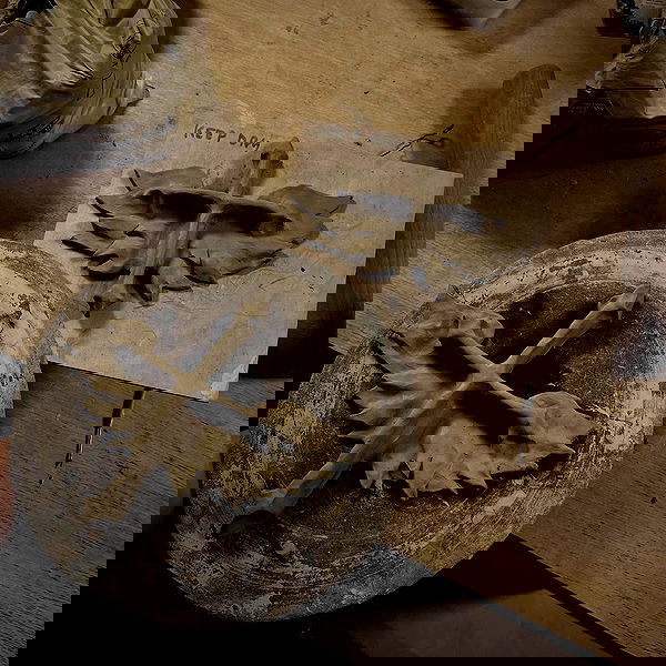 _femalien image ~ Altpins