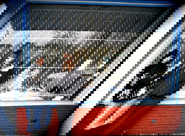 _femalien image ~ Altpins