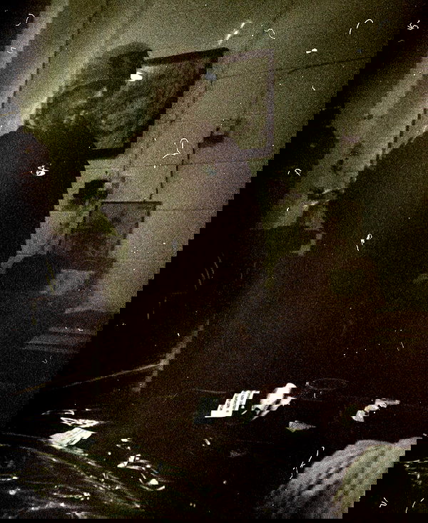 _femalien image ~ Altpins