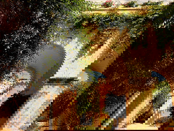 _femalien image ~ Altpins