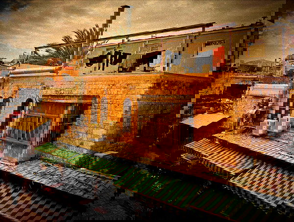 _femalien image ~ Altpins