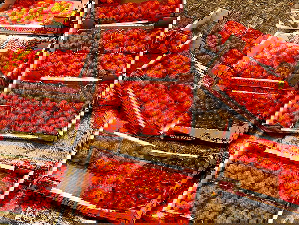 _femalien image ~ Altpins