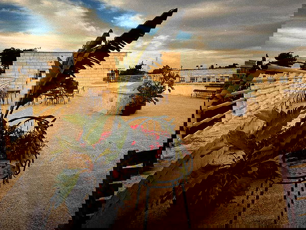 _femalien image ~ Altpins