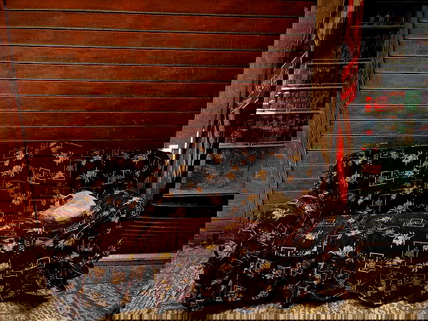 _femalien image ~ Altpins