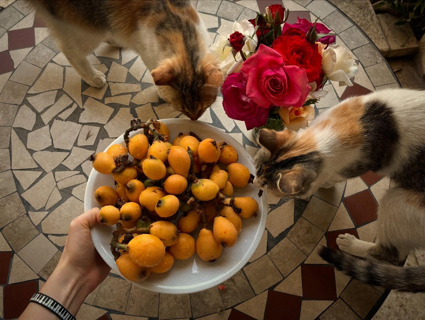 _femalien instagram image archive image