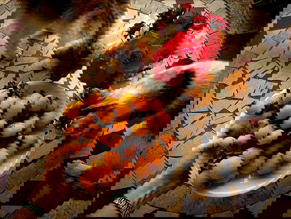 _femalien image ~ Altpins