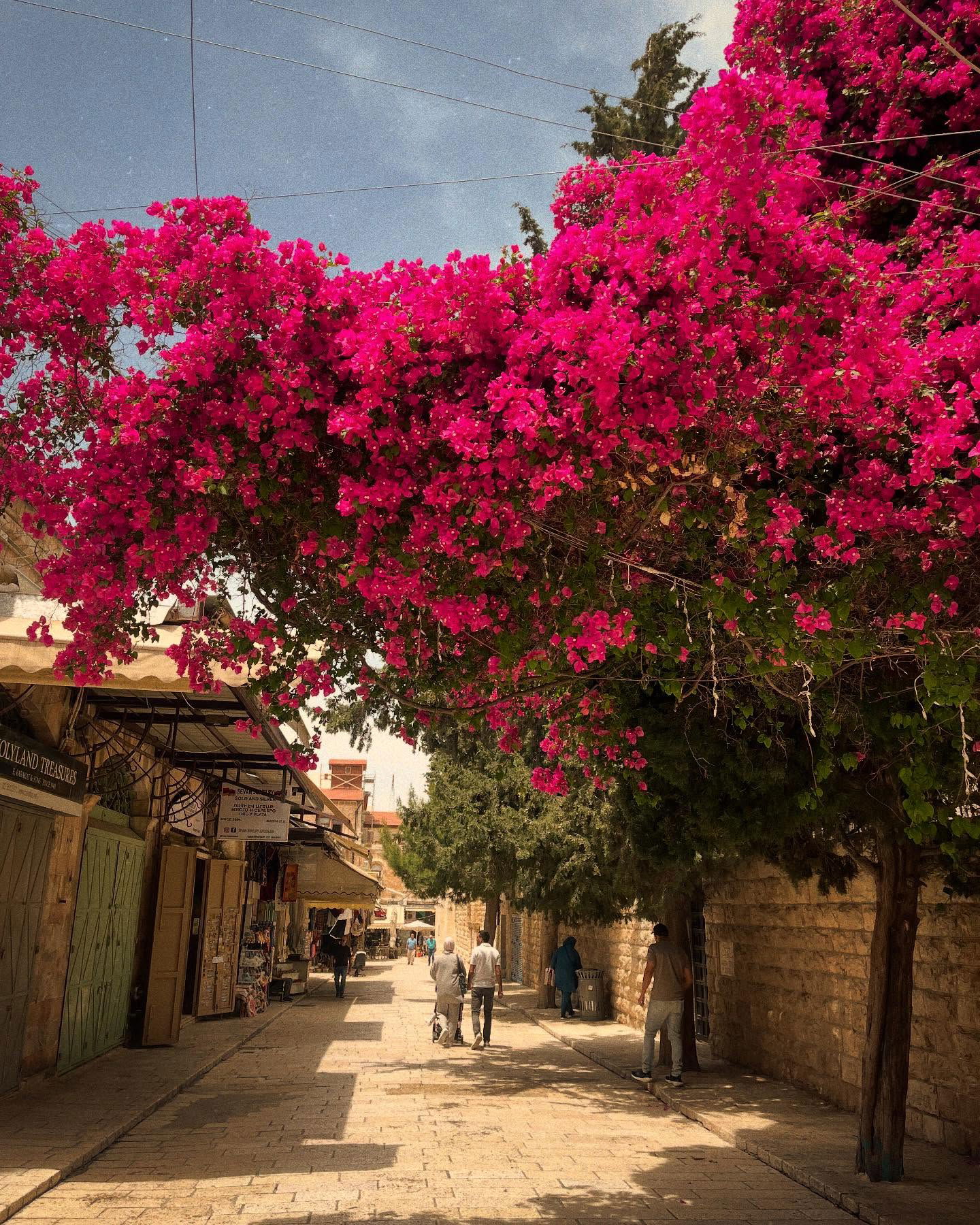 _femalien instagram image archive image