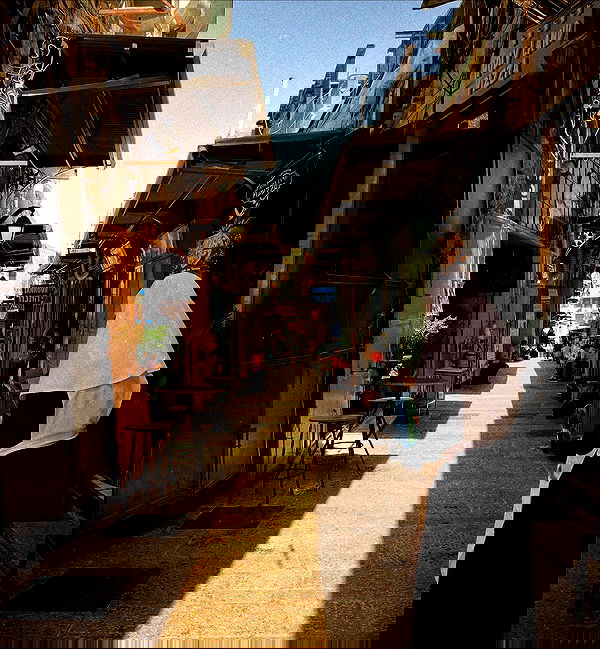 _femalien image ~ Altpins