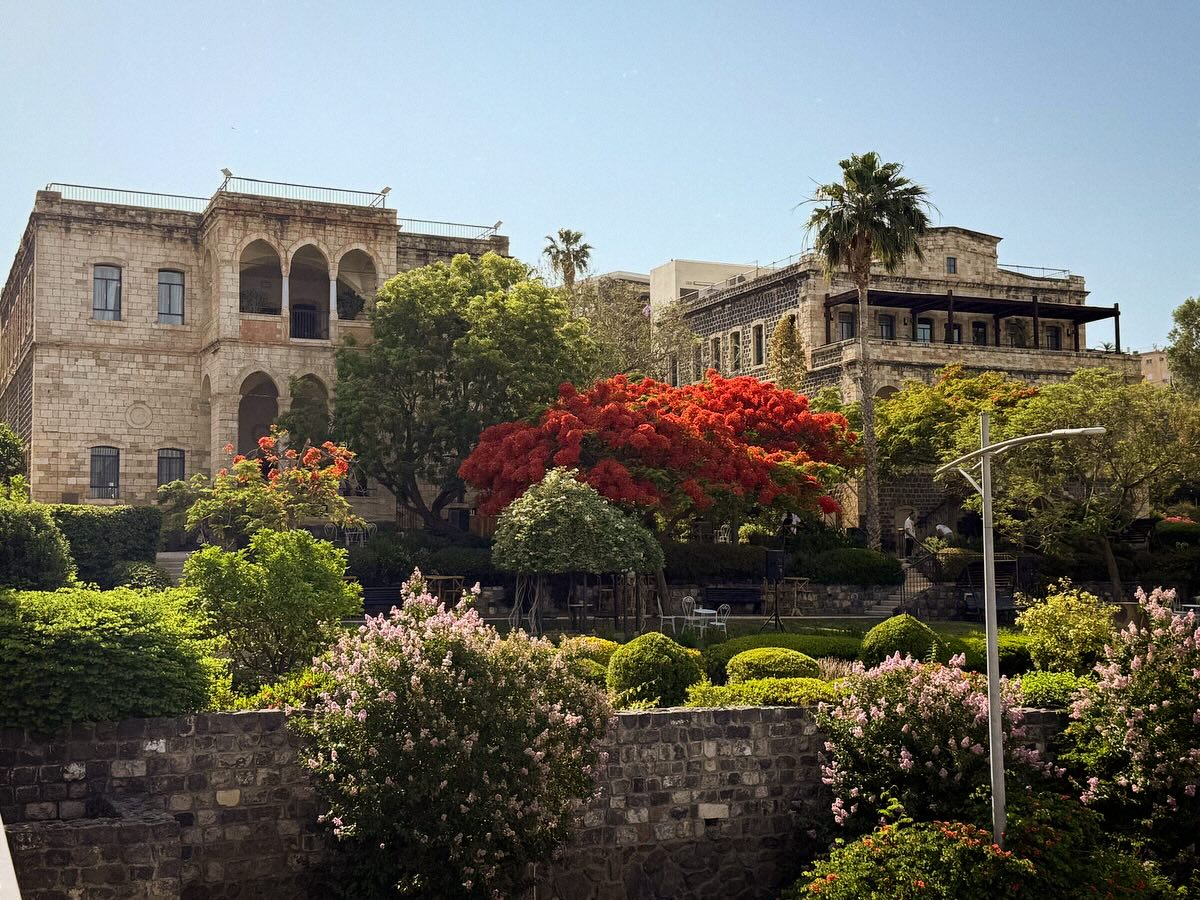 _femalien instagram image archive image