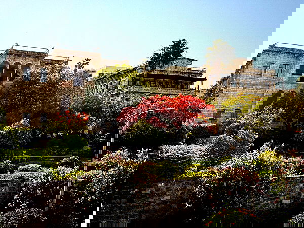 _femalien image ~ Altpins