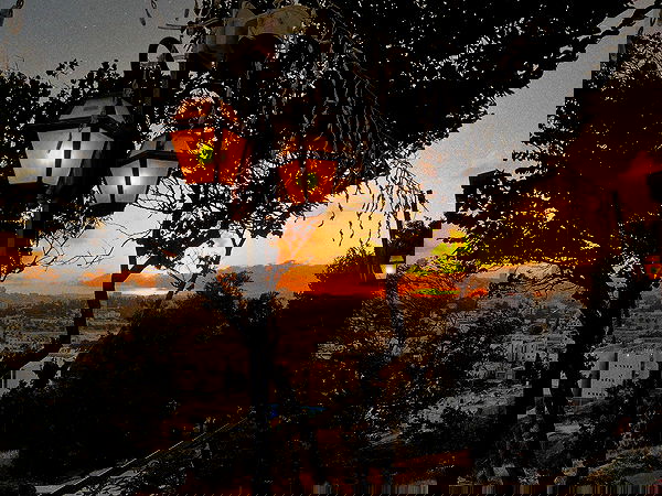 _femalien image ~ Altpins