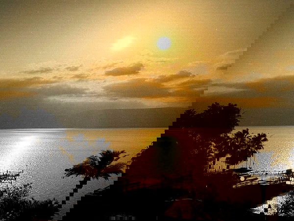 _femalien image ~ Altpins