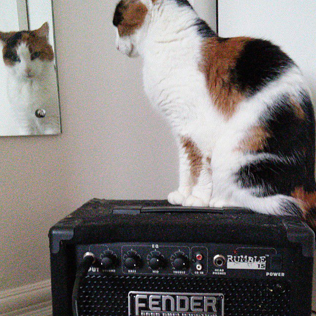 _femalien instagram image archive image