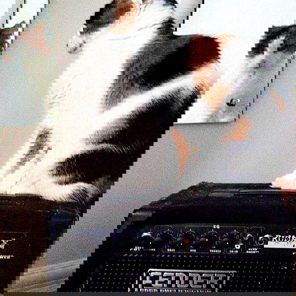 _femalien image ~ Altpins